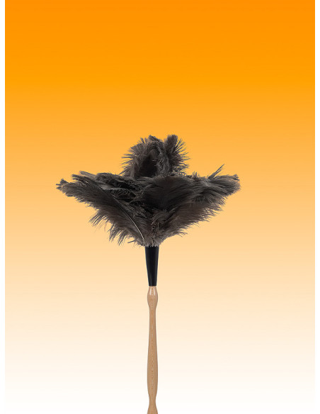 PLUMERO AVESTRUZ LARGO PLUMA 27-28 M/TORNEADO 60 CM