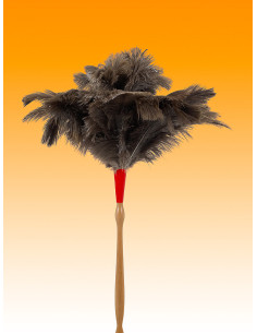 PLUMERO AVESTRUZ LARGO PLUMA 25-26 M/TORNEADO 60 CM