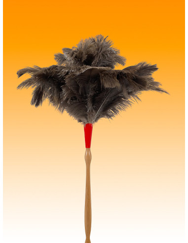 PLUMERO AVESTRUZ LARGO PLUMA 25-26 M/TORNEADO 60 CM