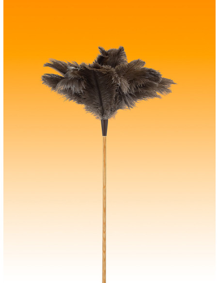 PLUMERO AVESTRUZ LARGO PLUMA 23-24 M/VARILLA 60 CM