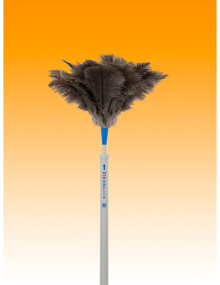 PLUMERO AVESTRUZ LARGO PLUMA 27-28 M/EXTENSIBLE 50-85 CM
