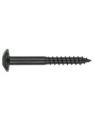 TORNILLO INVIOLABLE ZN NEGRO 100 7X70 MM