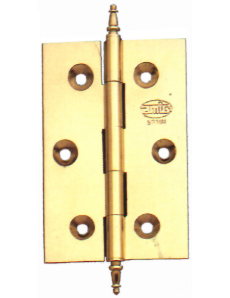 BISAGRA LATON PULIDA 70X50 MM
