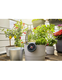 Riego solar Gardena AquaBloom automático