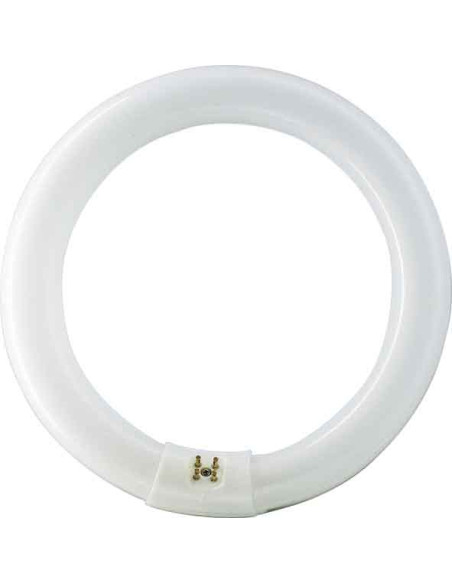TUBO FLUORESCE CIRCULAR T9 840 G10Q 409MM 409 MM