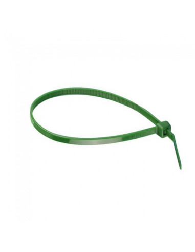 BRIDA NYLON VERDE C/100 4,8X290