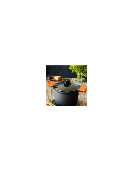 OLLA INDUCCION EFFICIENT 20 CM