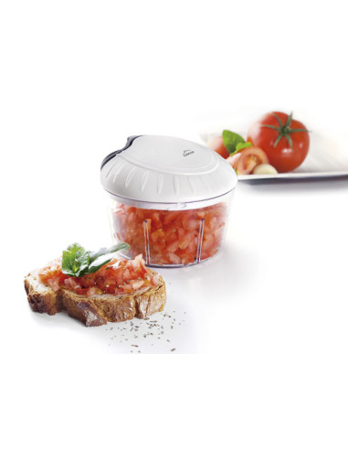 PICADORA SHARP 12X11 CM 0.5 L