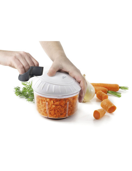 PICADORA SHARP 12X11 CM 0.5 L