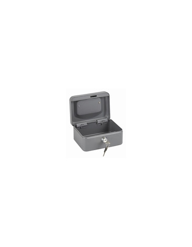 CAJA CAUDALES GRIS 25X18X9CM
