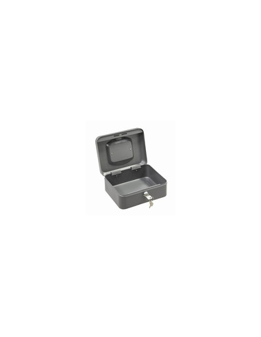 CAJA CAUDALES GRIS 30X24X9CM