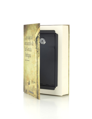 CAJA FUERTE SECRETA LIBRO 154X222X44 ARREGUI