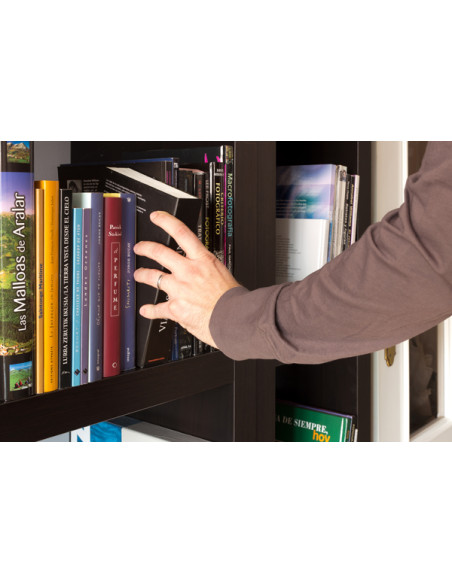 CAJA FUERTE SECRETA LIBRO 154X222X44 ARREGUI