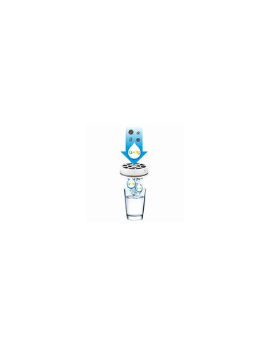 BOTELLA FILTRACION INSTANTANEA 1 L