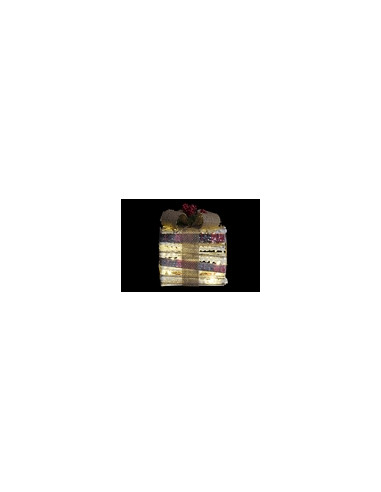 REGALO RATAN LED SET-3