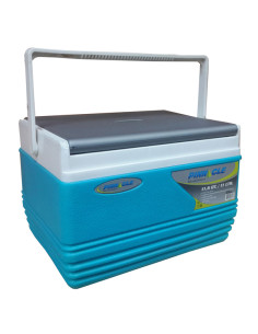 NEVERA RIGIDA CON ASA 11 L 2