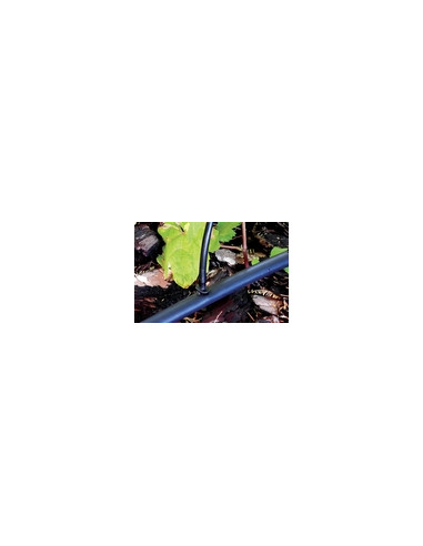 UNIONES MICROTUBO BL10 4 MM
