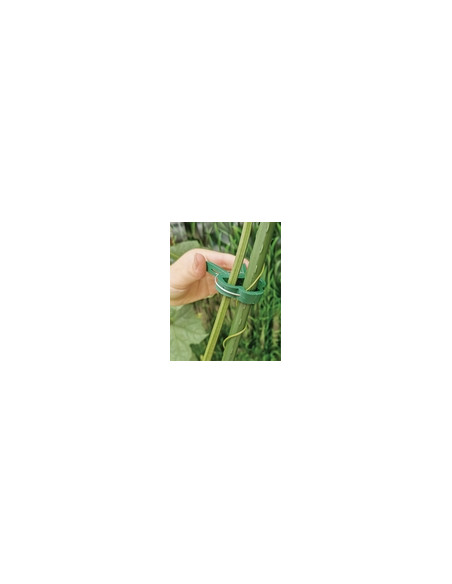 PINZAS SURTIDAS ENTUTORAR (PACK 10+10)