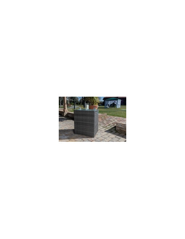CONJUNTO RATAN SINT/ACE GUINEA 3 PZAS
