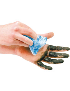 TOALLITA LIMPIEZA BOTE 72 UNID 2