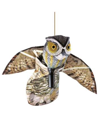 BUHO VOLADOR