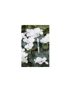 AVISADOR RIEGO SUS-TEE 2