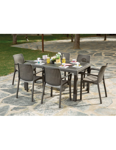 MESA JARDIN RATTAN ELEGANTE 150X90X72C