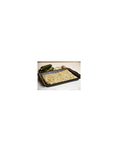 MOLDE RECTANG SILIC F.VIDRIO 36X26X4 CM