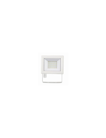 FOCO LED BLANCO IP65 30 W