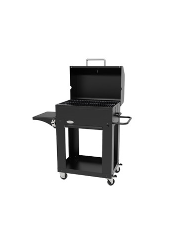 BARBACOA CARBON MIRANDA 110X44X120