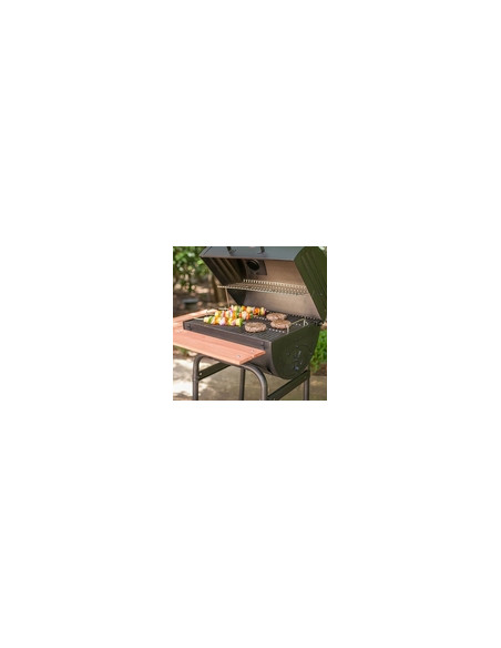 BARBACOA CARBON/LEÑA CHARGRILL