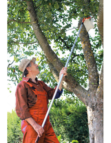 ALCANZA TODO PERTIGA TELESCOP CESTO