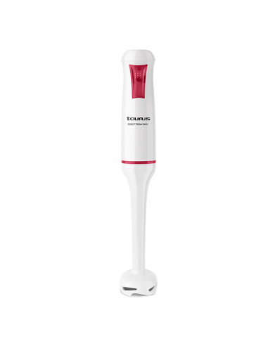 BATIDORA VARILLA ROBOT 750 EASY 750 W
