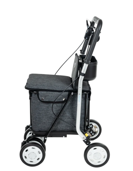 CARRO COMPRA SILLA ANDADOR ICE