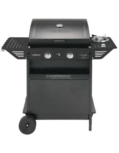 BARBACOA GAS 2Q+HORNILLO XPERT 200 LS PLUS 8200 W