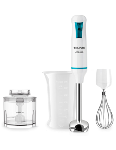 BATIDORA VARILLA ROBOT 750 EASY PLUS INOX 750 W