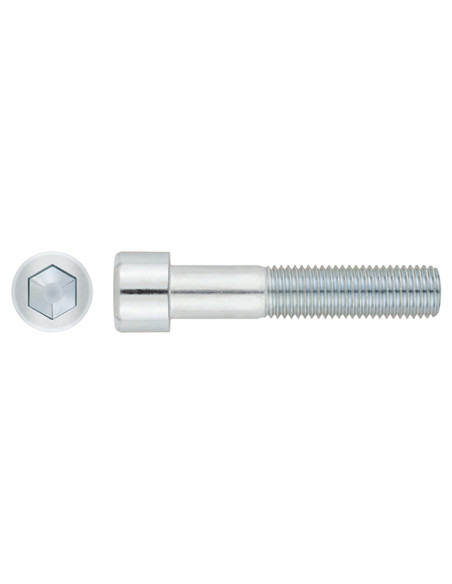 TORNILLO ALLEN DIN912 8.8 ZN M8X120