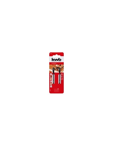 HOJA SIERRA CALAR HCS C.CURVO BL 2U 55 MM