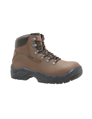 BOTA PIEL S3 PUNT/PLANT METAL MARRON 47