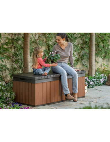 ARCON PP DARWIN 100 MARRON 380 L