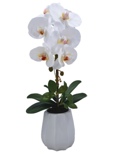 PLANTA PHALENOPSIS C/MACETA CERAMICA 54 CM