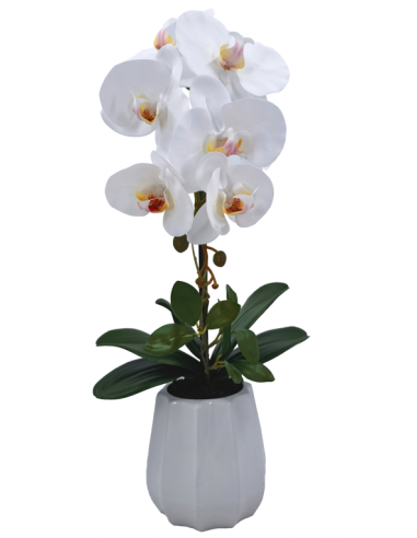 PLANTA PHALENOPSIS C/MACETA CERAMICA 54 CM