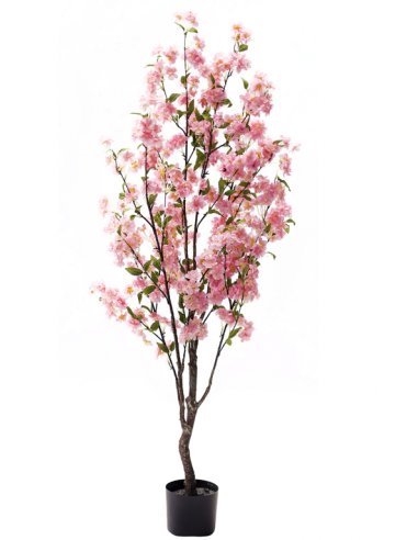 ARBOL ALMENDRO 140 CM