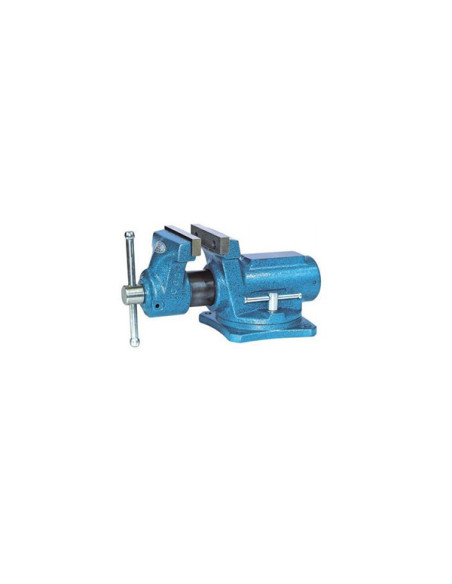 TORNILLO BANCO GUIA CILINDRO F 100 MM
