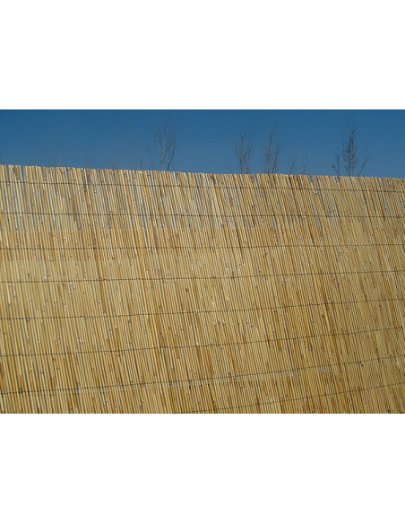 CAÑIZO TIPO BAMBU 2X5 M