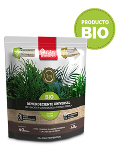REVERDECIENTE UNIVERSAL BIO C/15 SOBRES 40 G