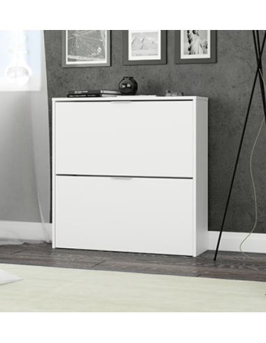 ZAPATERO 2 PUERTAS BLANCO 76X75X22CM