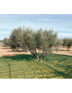 MANTA RECOGER OLIVA/ALMENDRA VERDE 3X6 M