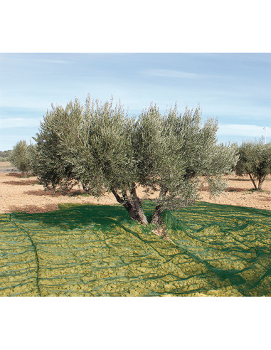 MANTA RECOGER OLIVA/ALMENDRA VERDE 3X6 M
