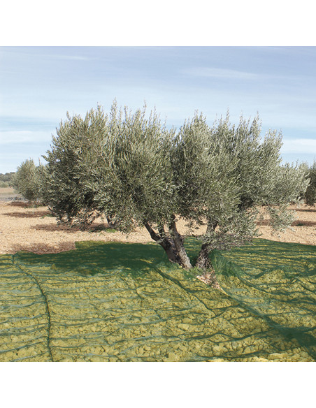 MANTA RECOGER OLIVA/ALMENDRA VERDE 6X12 M